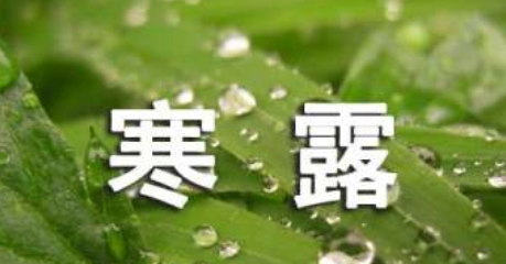 QQ截图20211008135813.png